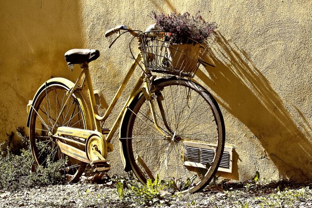 bonus bici Bonus bici