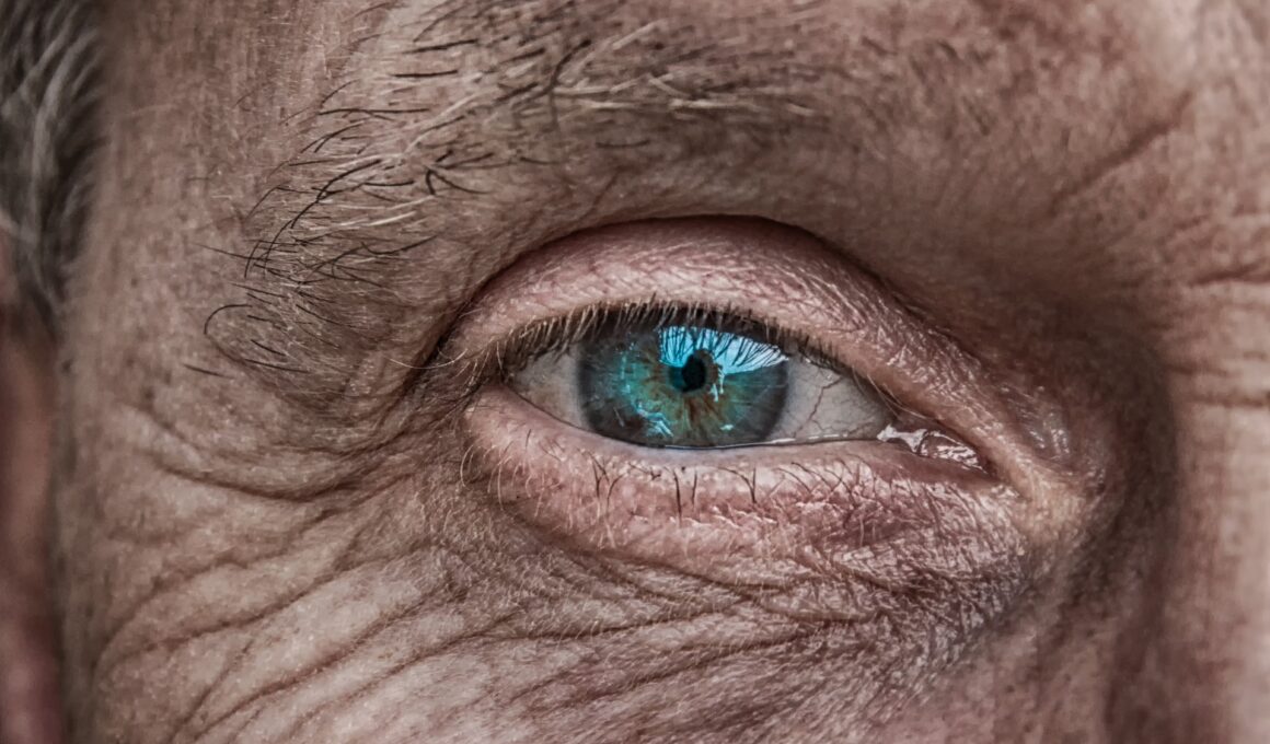 riforma pensioni 2024