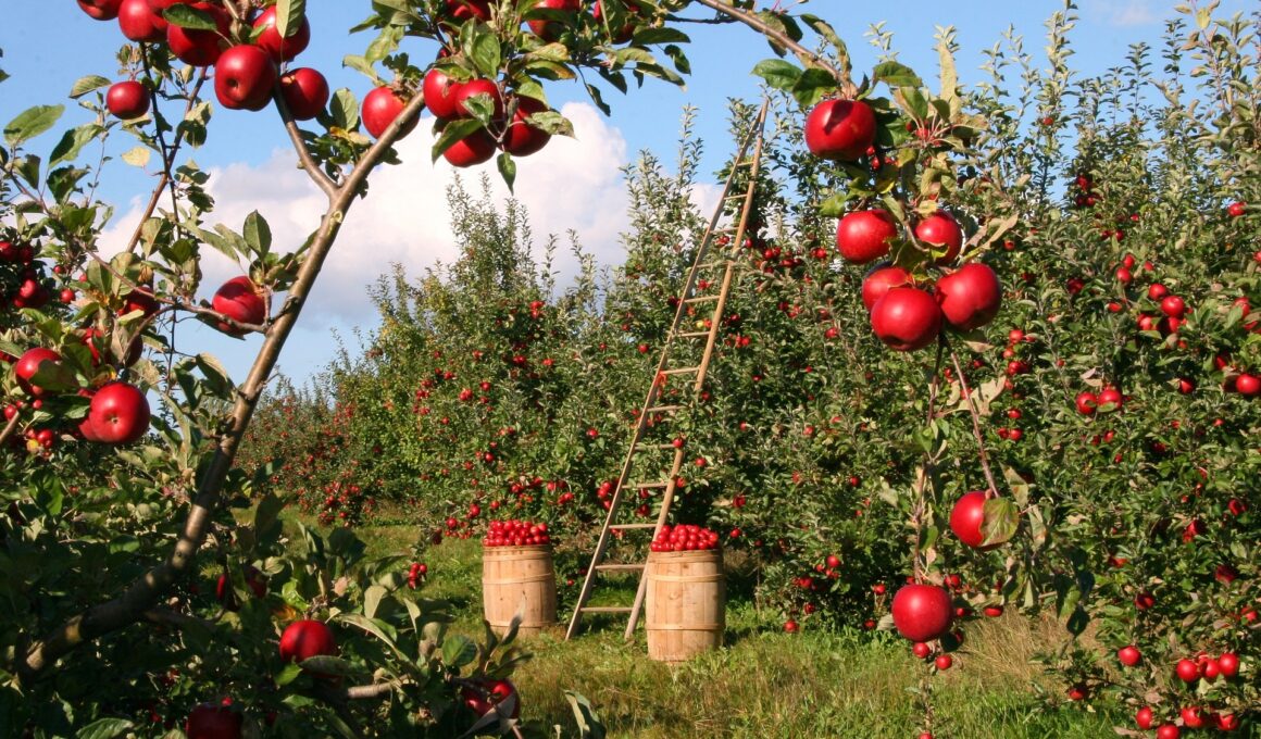 Agricoltura