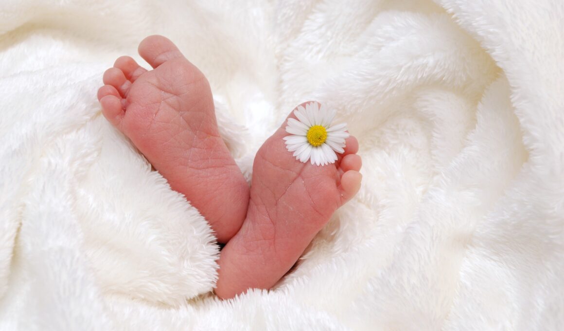 piedi baby