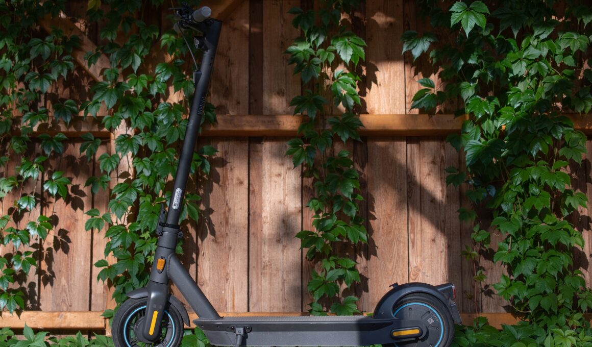 monopattino elettrico