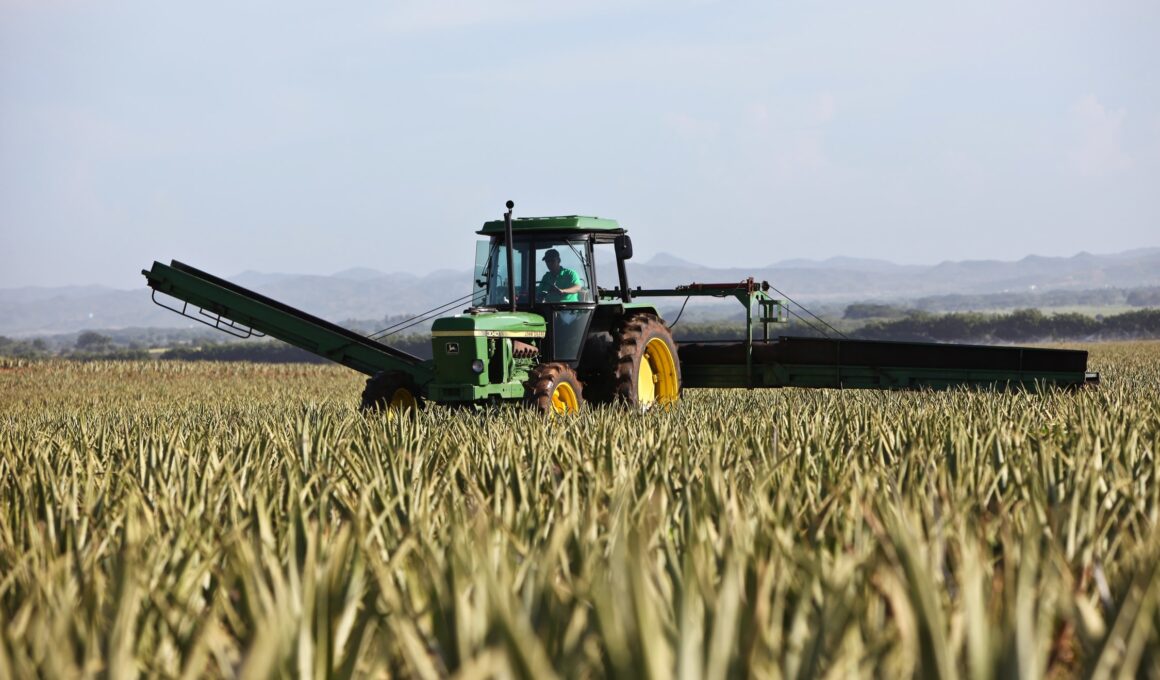 contributi pac agricoltura