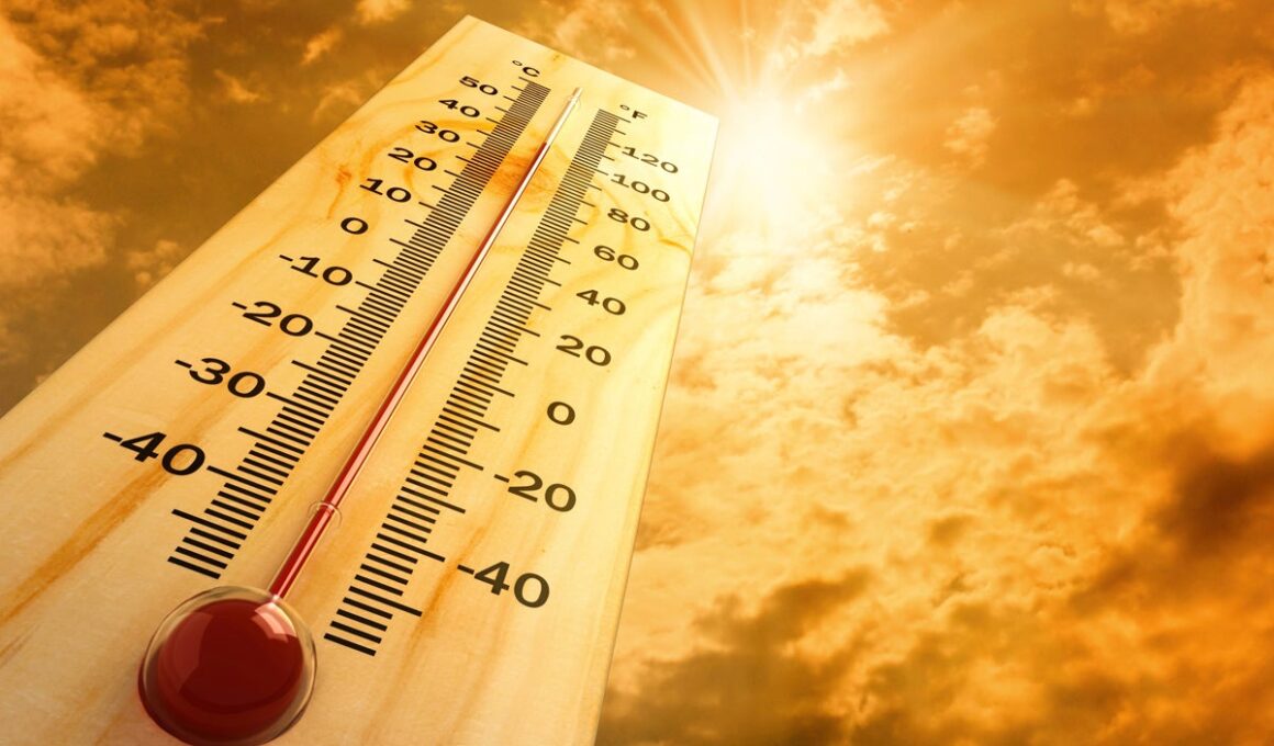 meteo caldo