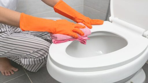 pulire wc