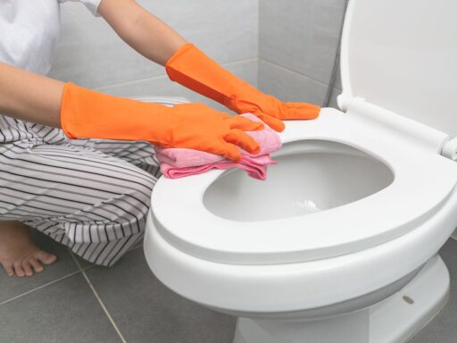 pulire wc